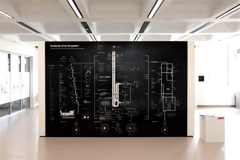 Installation of Anatomy of an AI