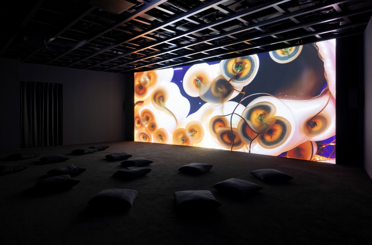 Installation image of Each Branch of Coral Holds Up the Light of the Moon by Anicka Yi