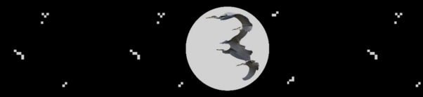 Meditation on Country Banner